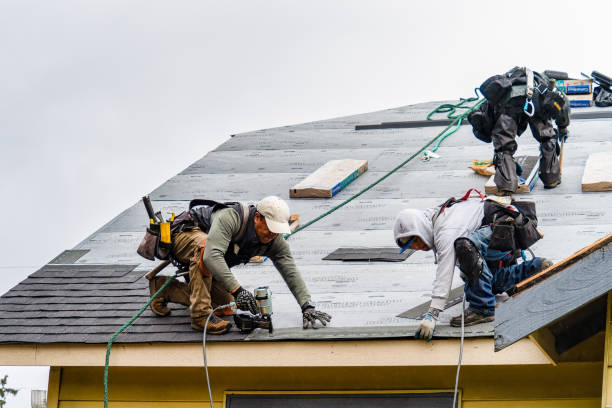 Professional Gutter Installation technician working in Woodville, AL